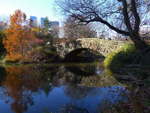 NYC_2012-11-22 13-19-15_P1070525